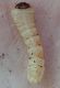 20210307_195654.jpg