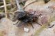 DSC_2191-2.jpg