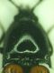 DSCF5005.JPG