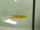 IMG_20210429_184148_compress42_resize_32.jpg