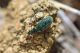DSC_4204+4205.jpg