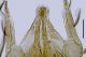 gnatosoma_1000X_50um.jpg