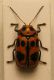 DSCF0008.jpg