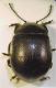 DSCF5016.JPG