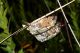 DSCN8808.jpg