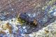 DSC_6119-2.jpg