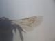DSCN1743.jpg