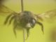 DSCN17472.jpg