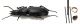 Comb3281-22zL6cr.jpg