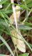 DSCN6570ridotta.jpg