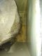 IMG_20210710_170143-min.jpg