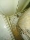 IMG_20210710_170231-min.jpg