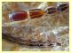prob. larva Fibla circa 13 mm. - Selcetta RM 5.8.2021 - (4).JPG