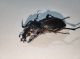 IMG_20210918_205503_resize_47_compress71_resize_8.jpg
