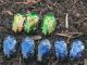aurata blue-green.jpg