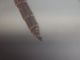 DSCN1809.JPG