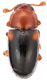2017-09-30 19-00-31 (A,Radius2,Smoothing1).JPG