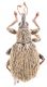 2017-10-01 23-26-18 (A,Radius2,Smoothing1).JPG