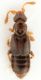 2017-09-26 20-53-16 (A,Radius2,Smoothing1).JPG