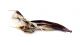 Comb3448cr-45zL3.jpg
