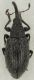 2021-12-31 12-49-19 (B,Radius8,Smoothing3)2(1).jpg