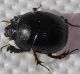 img_20220102_120815989.jpg