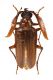 Comb3522cr-12zL3.jpg