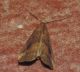 DSCN0318.JPG