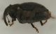 2022-02-08 10-08-48 (B,Radius8,Smoothing3)2(1).jpg