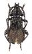 Comb3588cr-48zL6.jpg