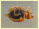 Rhyzobius chrysomeloides 2,6 mm. - Anzio 23.2.2022 - (8).JPG
