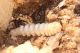 IMG-20220225-WA0011.jpg