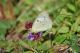 tn_DSC_8334.JPG