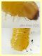 larva gialla 4 mm - Anzio 25.7.2021 - (7).JPG