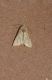 DSC_6713-min.JPG