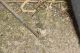 DSC_6696-min.JPG