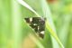 DSC_6416-min.JPG