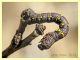 larva Geometridae e pianta ospite - Solfatara di Pomezia - 3.5.2022 - (5).JPG