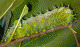 DSCN1274.gif