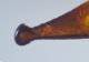 apice-edeago-Ophonus-cf-ardosiacus def.jpg