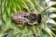 DSC_6908-2.jpg