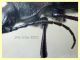 Carabus sp. 22 mm. - 8.7.2022 - Trepalle - Sondrio circa 2100 m. s.l.m. - (4).JPG