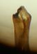 Screenshot_20220717-134858_Gallery.jpg