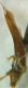Screenshot_20220718-185947_Gallery.jpg