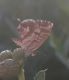 IMG_20220623_200701 - Copia.jpg