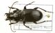 undet_IMG_0220_C00035.JPG