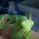 IMG_20220805_095048 - Copia.jpg