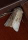 IMG-20220917-WA0000.jpg