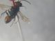 DSCN2312.JPG