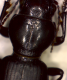 Broscus sp. 2.png
